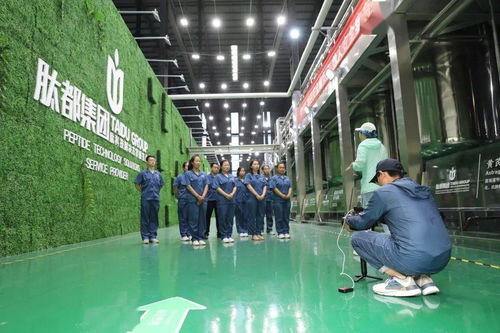 河北电视台《冀有好物》摄制组探访大名 聚焦文旅融合新亮点