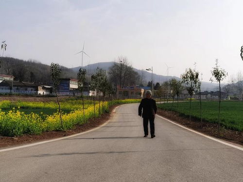 中原云裳牧场 鲁山县生态旅游新地标，点亮东部文旅新版图