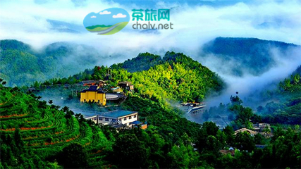 茶香漫山峦，文旅谱新篇——宜宾市叙州区天宫山茶旅融合开发项目有序推进