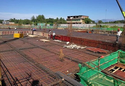 上旅集团城东文化旅游综合体项目进展周报（7月7日-7月13日）