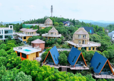 政府信息公开与旅游开发项目的协同发展